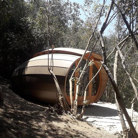 Biosfera Lodge Olmué エクステリア 写真