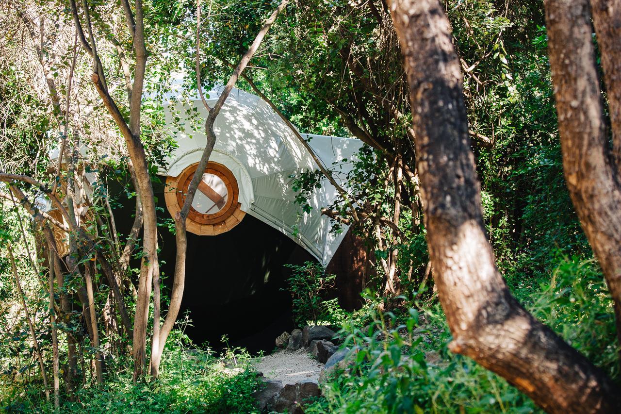Biosfera Lodge Olmué エクステリア 写真