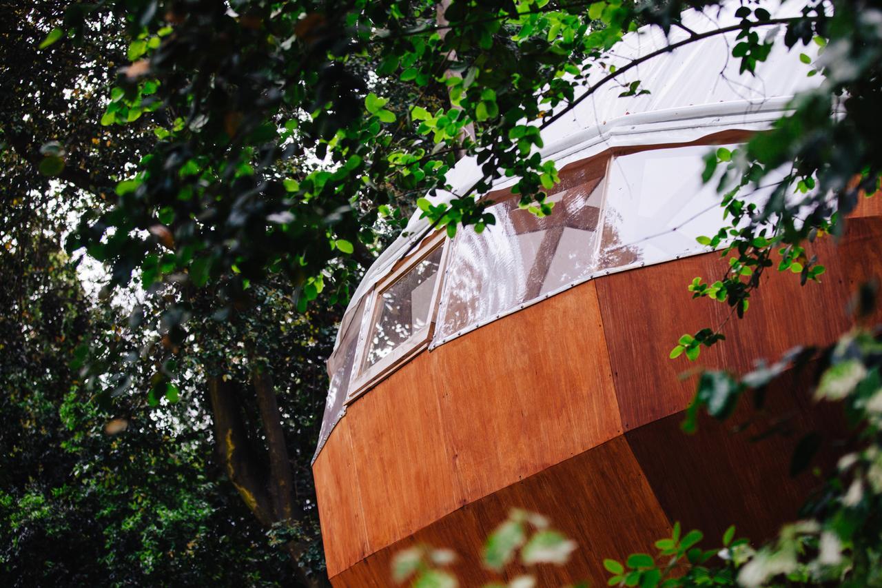 Biosfera Lodge Olmué エクステリア 写真
