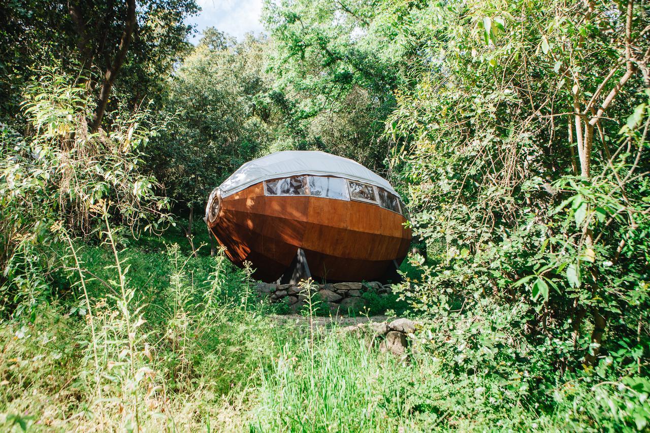 Biosfera Lodge Olmué エクステリア 写真