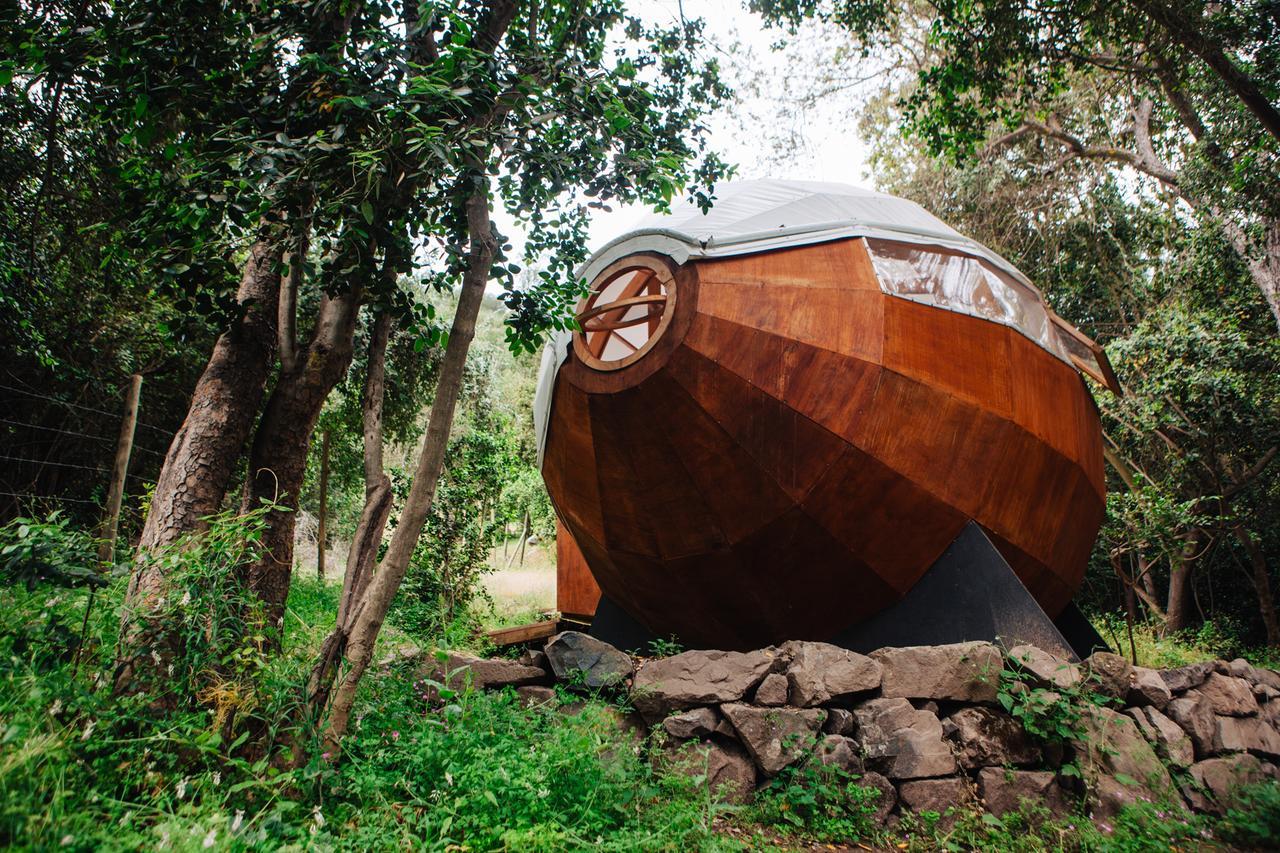 Biosfera Lodge Olmué エクステリア 写真