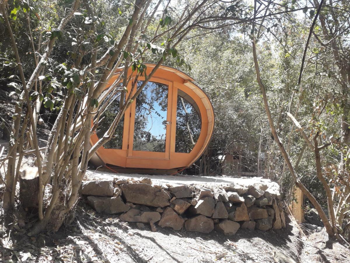 Biosfera Lodge Olmué エクステリア 写真